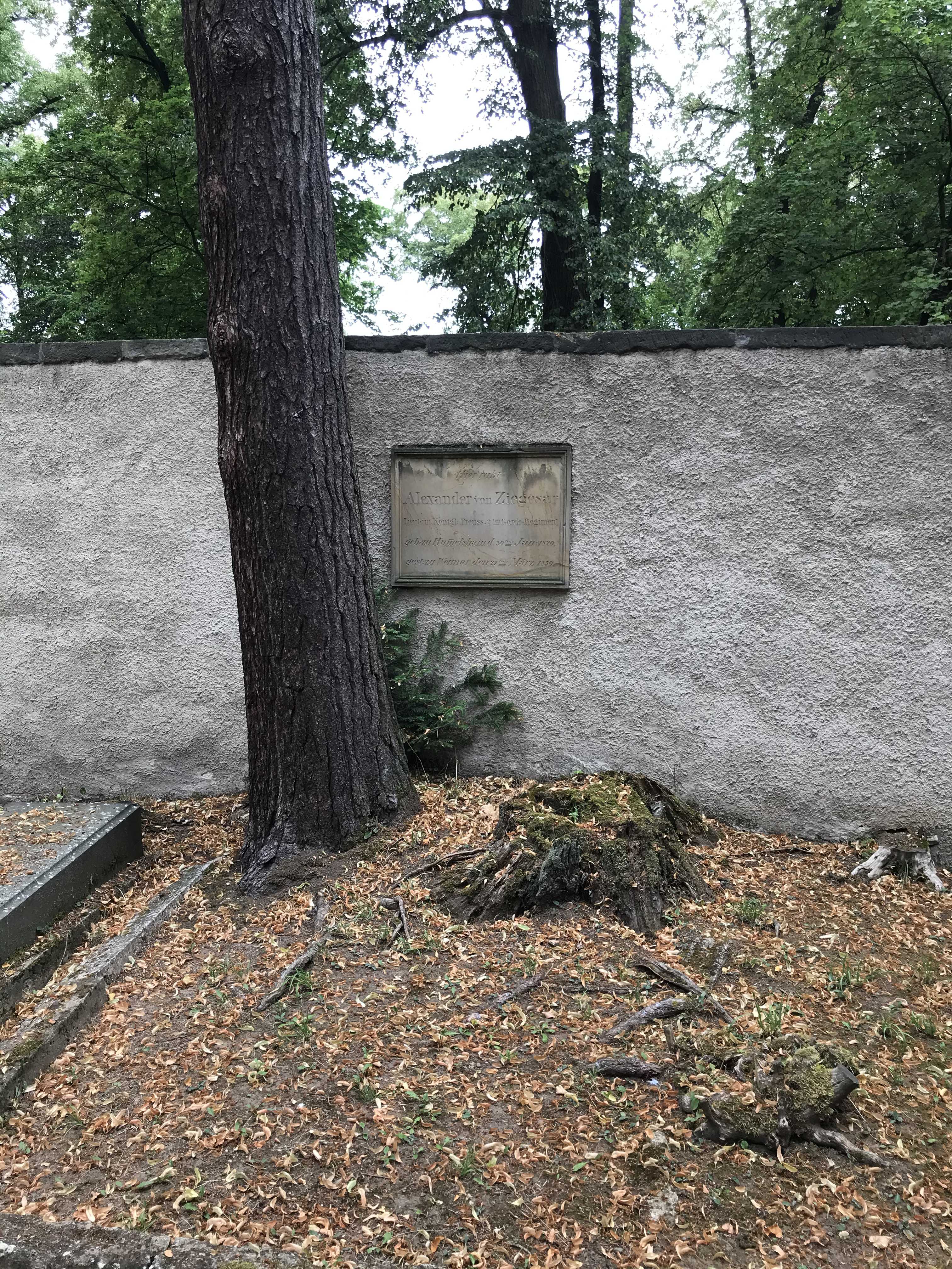 Grabstein Alexander von ZiegesarAlexander von Ziegesar, Hauptfriedhof Weimar, Thüringen, Deutschland